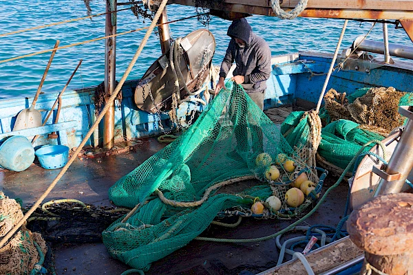 Lampedusa&#039;s fishermen between tradition and crisis